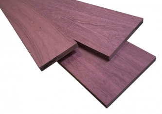 purpleheart_pic.1